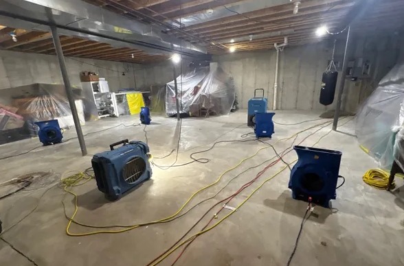 Basement Mold Cleanup in Glen Burnie, MD