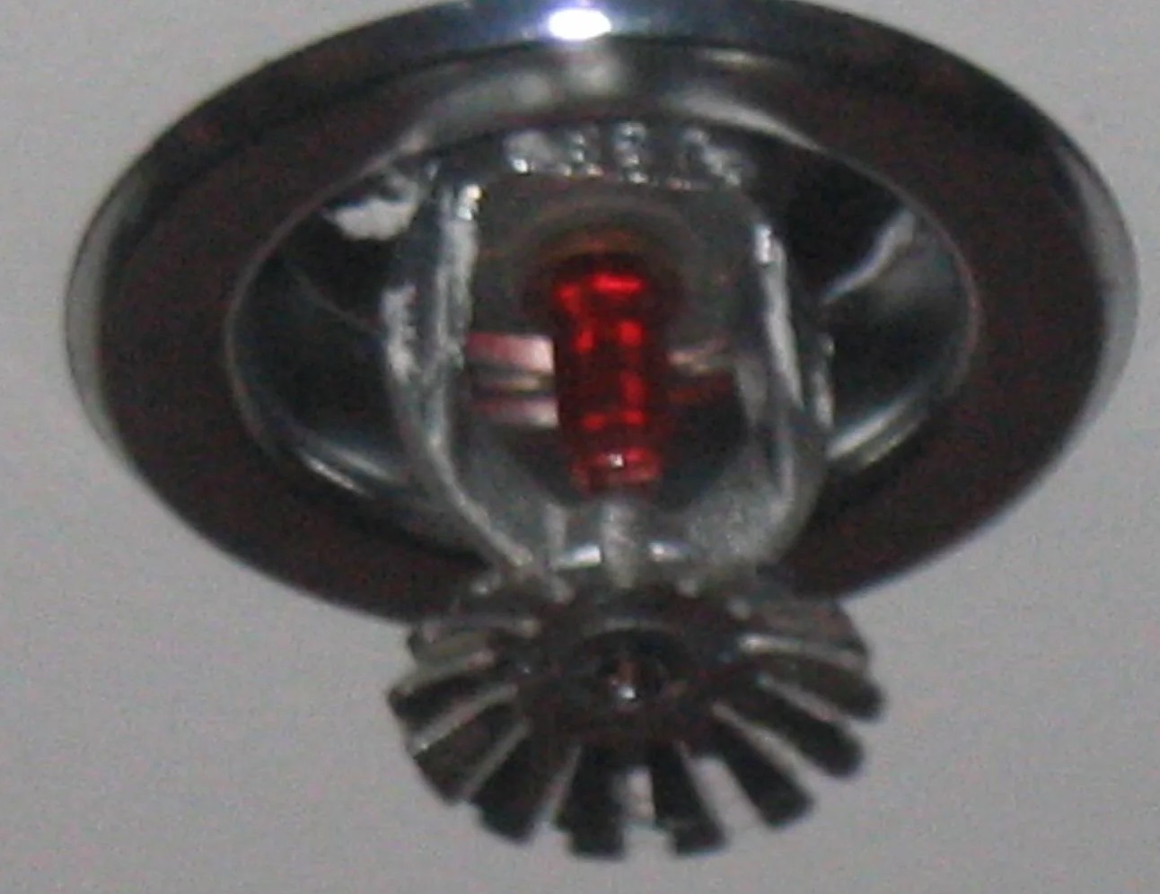 Sprinkler System Water Removal in Frederick, MD