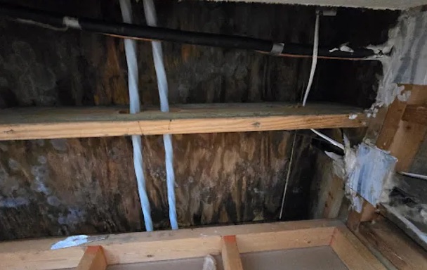 Attic Cleanup & Sanitization in Glen Burnie, MD